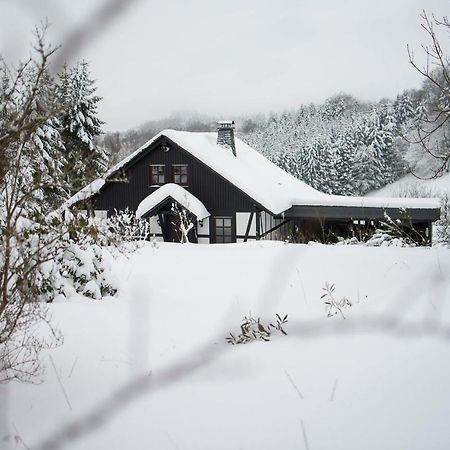 Romantikhuette Neuastenberg Winterberg Dış mekan fotoğraf